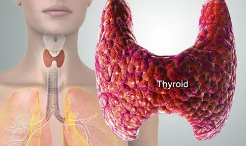 Best Thyroid Specialist in Nashik